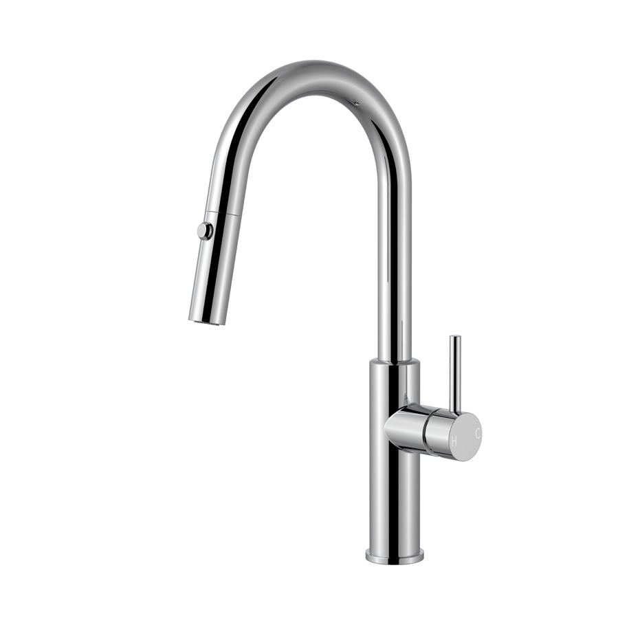 Orbit Long Neck Pull Out Sink Tap — Chrome